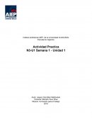 Formación del trabajo N3U1 actividad practica