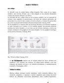 Olfato y gusto Arco reflejo.