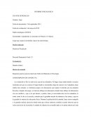 INFORME PSICOLOGICO PRECALCULO