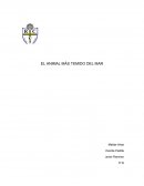 EL ANIMAL MÁS TEMIDO DEL MAR