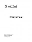 Relación entre la filosofía y literatura