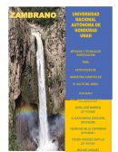 Informe final salto del angel