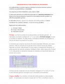 ORGANIZACIÓN DE LA TABLA PERIÓDICA DE LOS ELEMENTOS