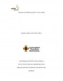 TRABAJO DE FORMULACIÓN Y EVALUACIÓN