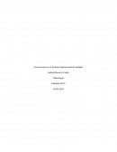 Conversiones en el Sistema internacional de medidas