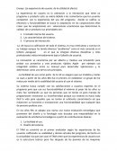 Ensayo (La experiencia de usuario: de la utilidad al afecto)