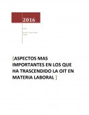 ASPECTOS MAS IMPORTANTES EN LOS QUE HA TRASCENDIDO LA OIT EN MATERIA LABORAL