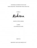 Ensayo sobre Madonna , LA REINA DEL POP