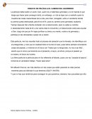 ENSAYO DE PELÍCULA EL CAMINO DEL GUERRERO