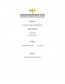 CASO EPIDEMIOLOGICO POR DESORDEN MUSCULOESQUELETICO, TUNEL CARPIANO