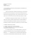 DEMANDA DE GARANTÍAS.