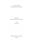 INFORME FINAL PROYECTO DE INVESTIGACIÓN