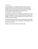 Alcantarillas tapadas por la basura