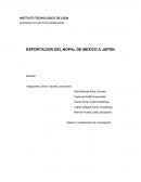 EXPORTACION DEL NOPAL DE MEXICO A JAPON