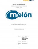 VALORACIÓN DE EMPRESA “, MELÓN S.A”.