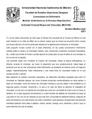 Actividad Cultural:Museo del Chocolate (MUCHO)