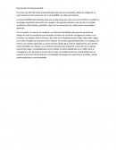 Descripción de Servicio de SPA.