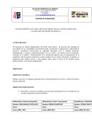 ESTABLECIMIENTO DE 2 HECTAREAS DE FRIJOL PARA EL GRUPO ASOSIATIVO CANADA DEL MUNICIPIO DE BARAYA.