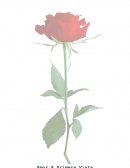 Tu eres Bonita y bella no se te puede quitar