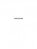 Fundamentos de Administración Moderna