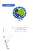 EXPRESION ORAL Y ESCRITA - INFORME