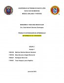 PRODUCTO INTEGRADOR DE APRENDIZAJE