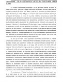 Analisis de la prueba indiciaria