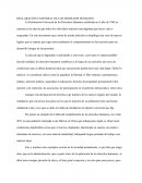 Declaración de los derechos humanos