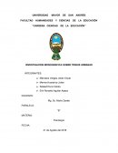 INVESTIGACION MONOGRAFICA SOBRE TRIBUS URBANAS