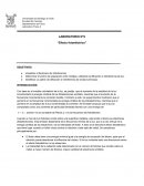 Efecto fotoelectrico laboratorio