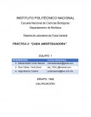 Practica caida amortiguadora