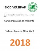 Analisis estructural