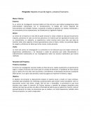 Proyecto:Reporte Anual de logros y estatus financiero