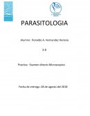 Homeostasis - ensayo