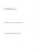 CASO INDITEX - ZARA