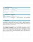 Termodinámica Programa Analítico