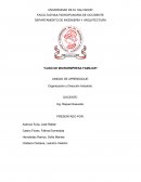 CASO DE MICROEMPRESA FAMILIAR