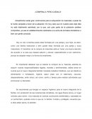 Texto argumentativo, compra de mascotas