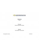 Mapa conceptual costos