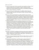 Perfil del auditor ensayo