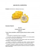 Productos del reino vegetal