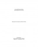 Importancia de la educación ambiental