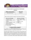 LA EDUCACIÓN AMBIENTAL COMO ASUNTO DE VIDA- ACTIVIDAD EN EQUIPO