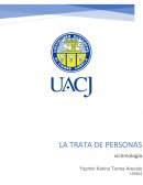 Trata de personas ensayo