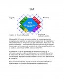 Informacion sobre SAP y Business SAP Suite