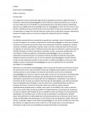 Ensayo Orientación Psicopedagogica