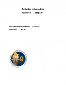 Integradora Etapa 1 Química 2