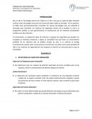 Trabajo de Investigación. Sistemas Tecnológicos de Seguridad