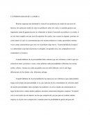 La Personalidad de la Marca