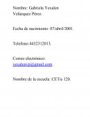 Las plantas como vida